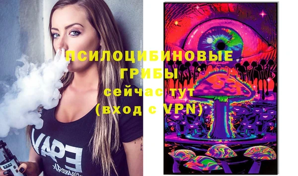 PSILOCYBIN Михайловка