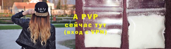 PSILOCYBIN Михайловка