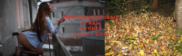 PSILOCYBIN Михайловка