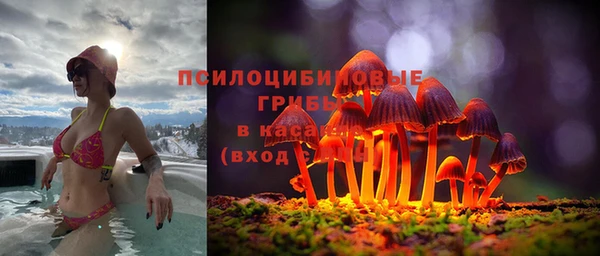 PSILOCYBIN Михайловка