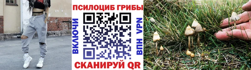Псилоцибиновые грибы Psilocybine cubensis  Бобров 